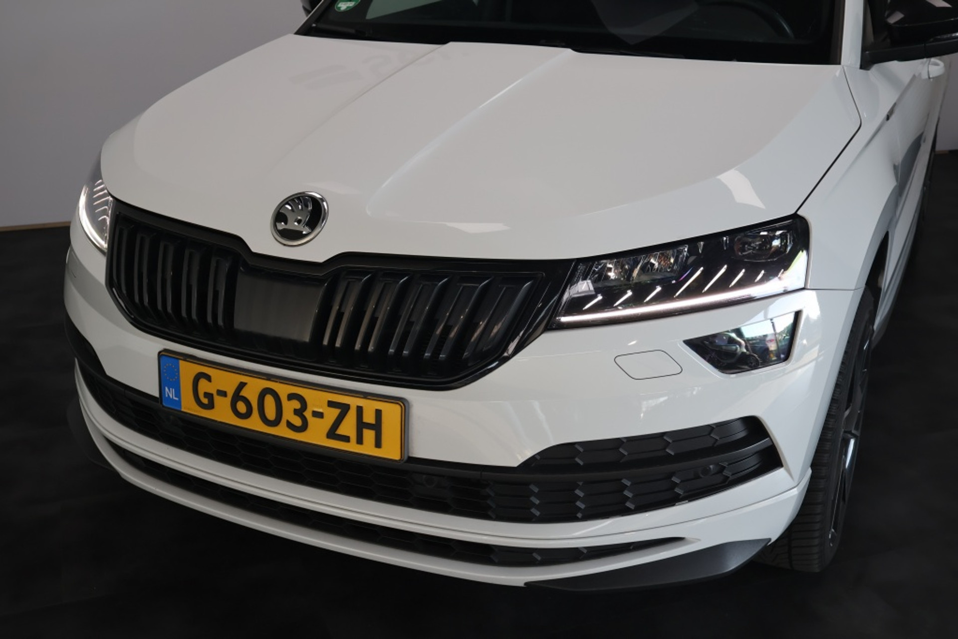 43792779-7.jpg